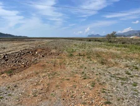 Dalyan Iztuzu Beach Road Zero 19,600M2 Field Land For Sale