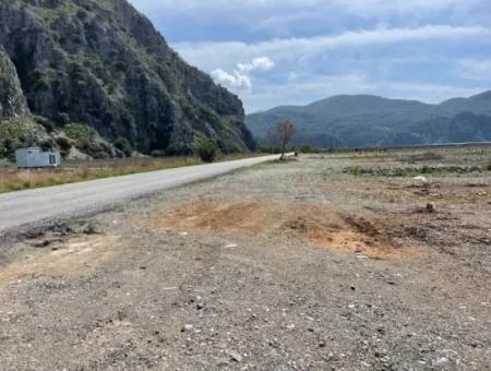 Dalyan Iztuzu Beach Road Zero 19,600M2 Field Land For Sale