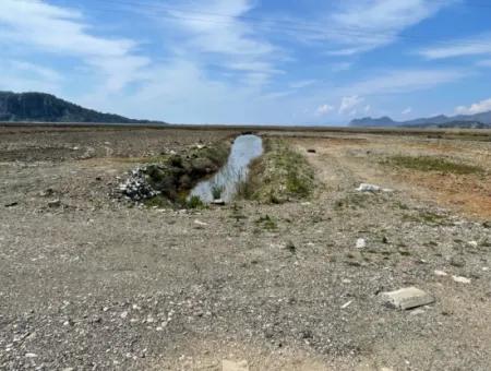 Dalyan Iztuzu Beach Road Zero 19,600M2 Field Land For Sale