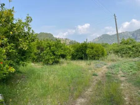 7800M2 Land For Sale At The Beginning Of Iztuzu Beach Road In Gökbel