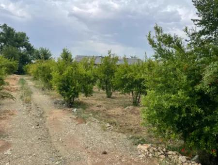 2,528M2 Field For Sale Near The Center Of Dalyan