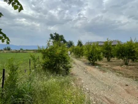 2,528M2 Field For Sale Near The Center Of Dalyan