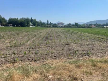 Land For Sale Of 2715M2 In The Built-Up Area Of The Village In Okçular