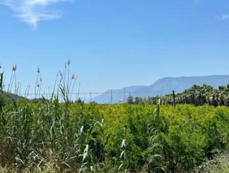 13,500M2 Roadfront Field For Sale In Akyaka Akçapınar