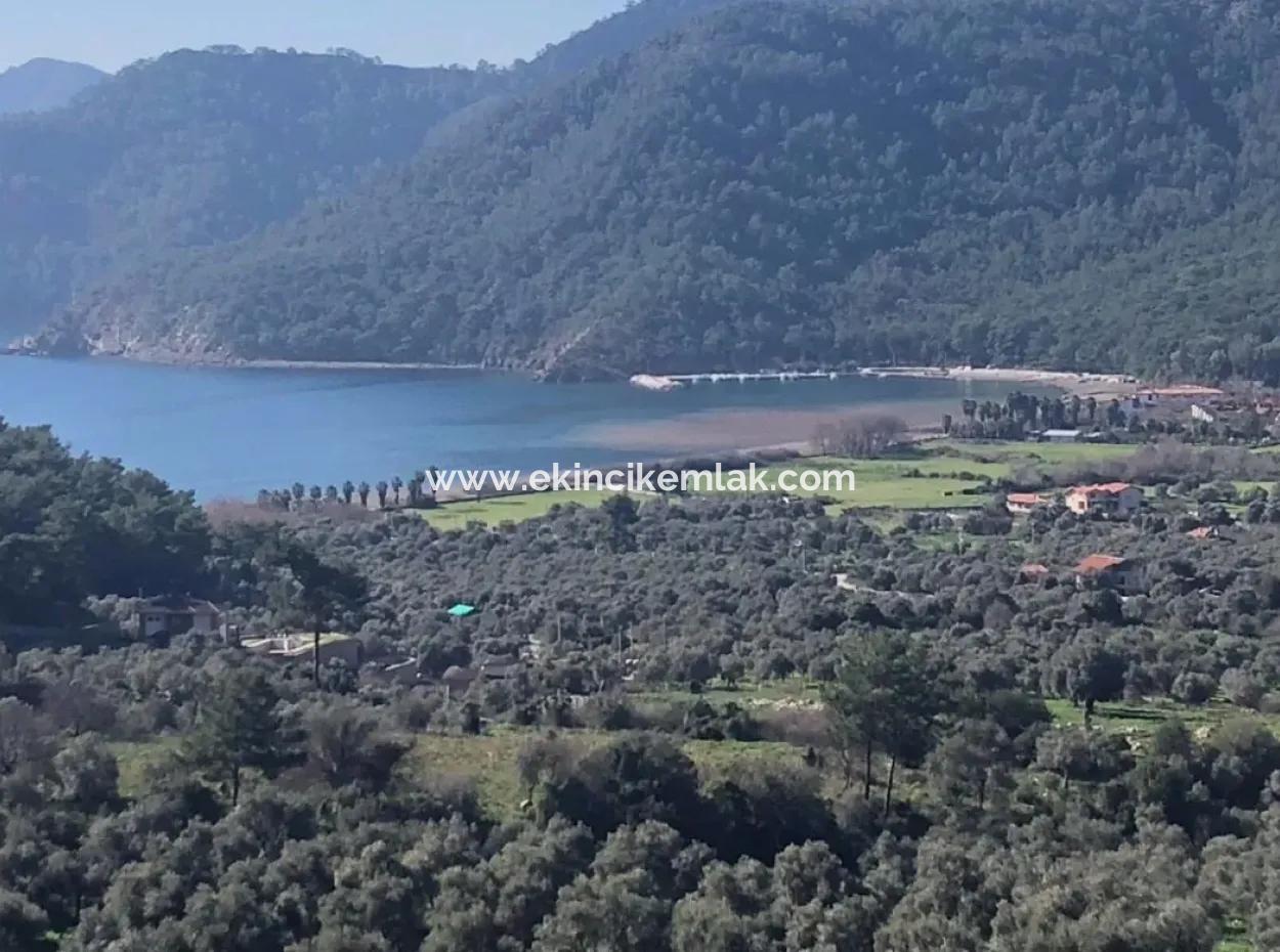 Ekincik Satılık Arsa Full Deniz Manzaralı 10885M2 Denize Bir Parsel Satılık Arsa