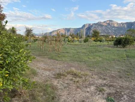 Dalyan Merkeze Yakın 7,450M2 Satılık Arsa