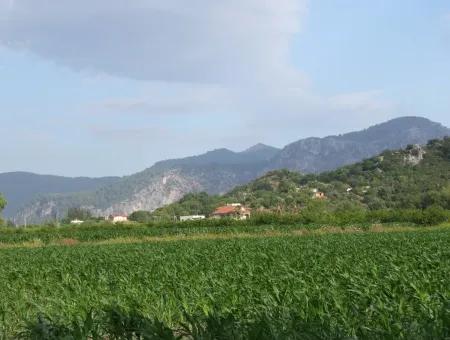 Dalyan Satılık Tarla Dalyan Merkeze Yakın 14,612M2 Satılık Tarla