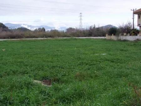 Dalyan Gülpınar Satılık Arsa Dalyan 1,002M2 Satılık Köşenası Satılık Arsa