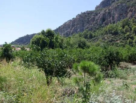 Dalyan'da Kanala Sıfır Satılık Arsa