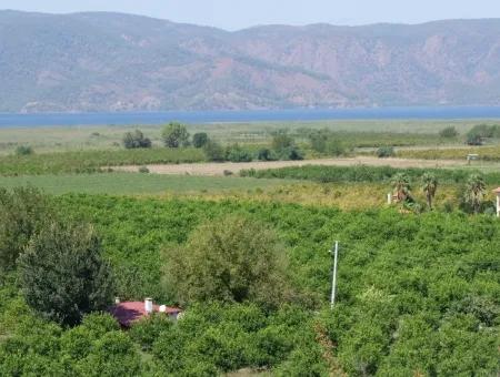 Dalyan Satılık Tarla Dalyan 73410M2 Satılık Tarla