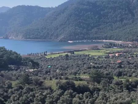 Ekincik Satılık Arsa Deniz Manzaralı 5,391M2 Satılık Arsa