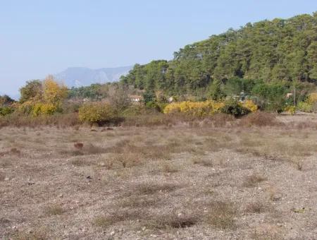 Çamlı'da Deniz Manzaralı 6850M2 İmarlı Satılık Arsa