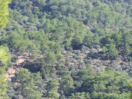 Ekincik Çandır Arasın'da Deniz Manzaralı Kelepir Emlak Satılık Arsa