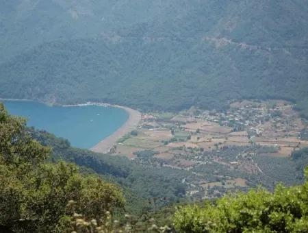 Ekincik Satılık Arsa Full Deniz Manzaralı 10885M2 Denize Bir Parsel Satılık Arsa