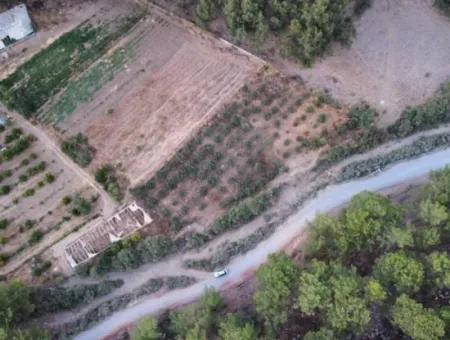 Mergenlide Aşı Koyu Yolu Üzerinde Satılık 3578M2 Tarla